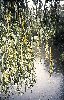 Image 97 for Ode to Autumn